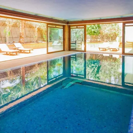 Palmeras Villa